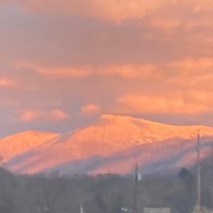 Meet your Posher, Dakota